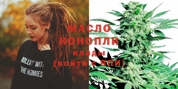 ECSTASY Алзамай
