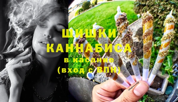 ГАЛЛЮЦИНОГЕННЫЕ ГРИБЫ Абинск