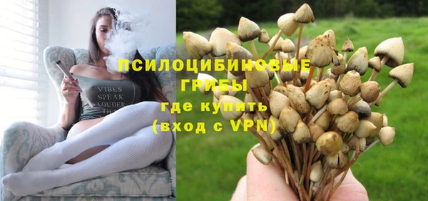 ECSTASY Алзамай