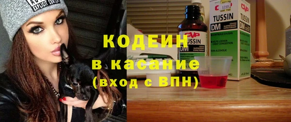 ECSTASY Алзамай