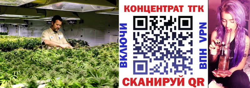 Дистиллят ТГК гашишное масло  где найти   гидра как войти  Тында 