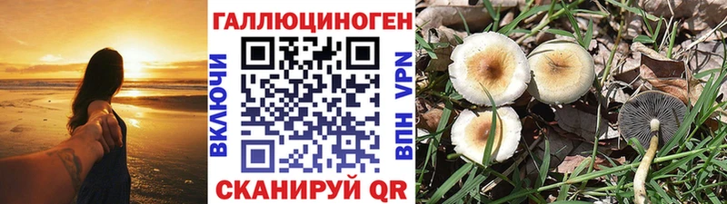 Галлюциногенные грибы мицелий  магазин    blacksprut зеркало  Тында 